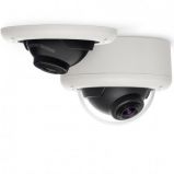 Arecont Vision AV2245PM-D-LG